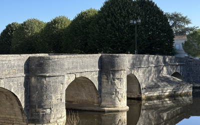 My Experience Trying To Learn French 🇫🇷 & Other Things