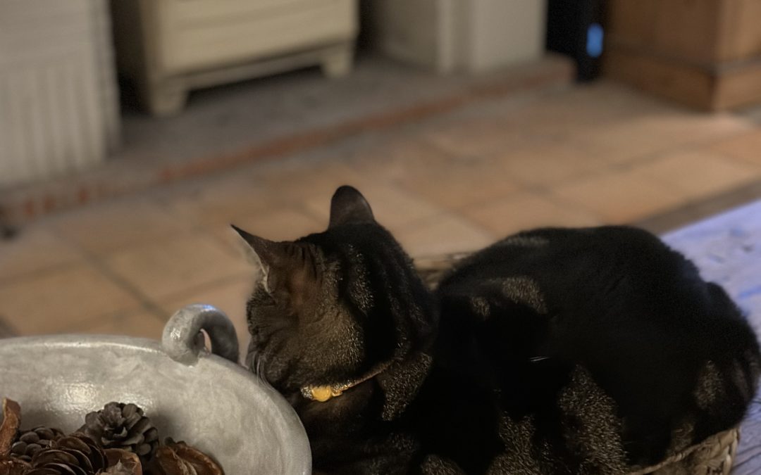 How to get your finances unstuck